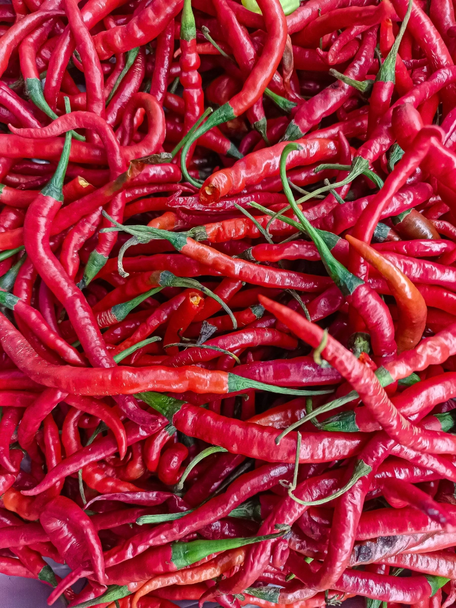Bloemboom-Blog-Chillis