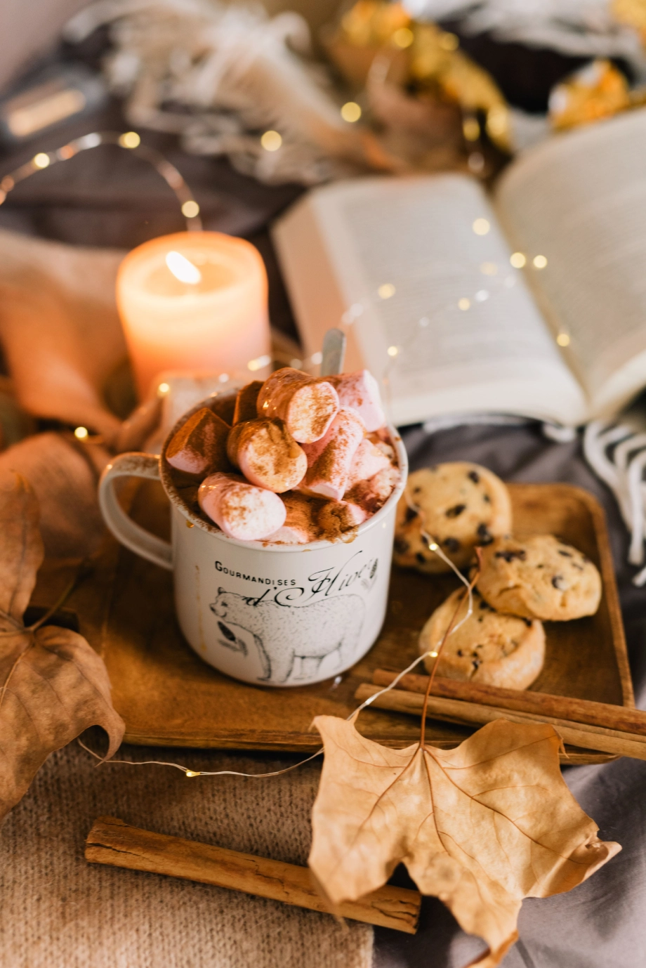 Trinkschokolade mit Cookies